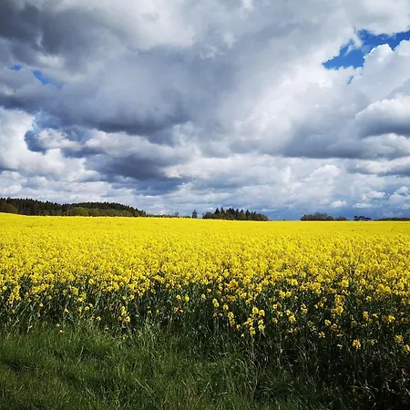 Familienfreundliches Salzhaff-urlaub Boiensdorf